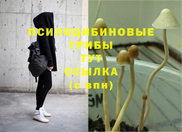 марихуана Баксан