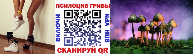 blacksprut ONION  Любим  Псилоцибиновые грибы мицелий  даркнет сайт 
